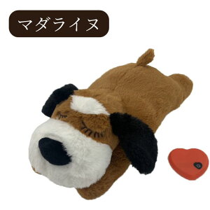 _5A^s ʂ  S ybg n[gr[g n sɘa ⏕      XgX 킢 q̂ጢLp⏕ߋ sP