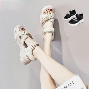 X|[cT_ X|[c xN bVT_ fB[X V[Y Xj[J[ r[`T_ y y ʋC r EH[LOV[Y wlC Vv JWA 