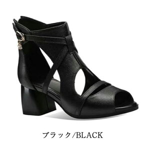 u[cT_ fB[X I[vgD u[cT_ T}[u[c 킢 `L[q[ T_t@bVT_ rl ėpu[c ʊw ʋ JWA T_ 