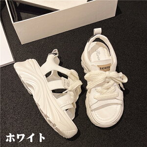 X|[cT_ T_ fB[X  p oRT_ ₷ Ȃ5cmq[ r[`T_  ₷ Xj[J[ r JWA _炩 ₷