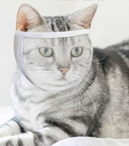 Lp}XN  ݂h~ ܐ؂⏕p  ybg}XN Lp  ʋC L lR ˂ }XN | rߖh~ EHh~ ܐ؂⏕ L C  V[ e \L