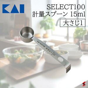 L ZNg100 vʃXv[ 15ml(傳1) Lb`    Vv XeX RpNg v ֗ ֗ObY Mtg v[g y000DH3121zy4901601388053z