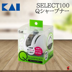 L Q-V[vi[ Lb`  V[vi[   _Chu u dグ e RpNg ȒP ֗ Mtg v[g y000AP0160z