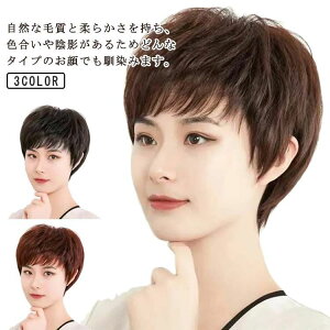 EBbO ×pECbO V[g J[ N p l100% p[} ʋC