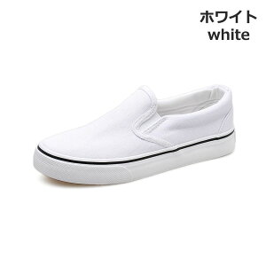 Xb| Y fB[X Xj[J[ V[Y C n Vv  ₷  @ ʋ ʊw oCg s   t@bV jp