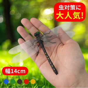 Ij} g{  ͌^ tBMA  St Xgbv Ss pi Mtg 蕨 A 14cm