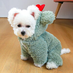 yP5{UP&ő1000~OFFN[|LzhbOEFA   H~ h {A p[J[ t[h ܎ g  ӂӂ   n[g ybgp Mtg