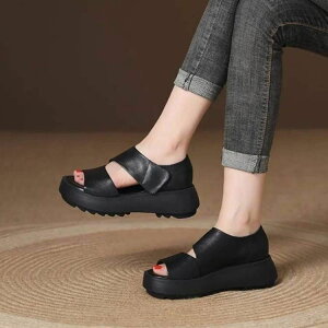 T_ fB[X EH[LOV[Y X|[cT_ Od b ʋC ₷ ɂ y gAbv r JWA y  