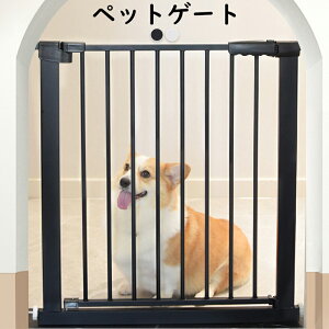 xr[Q[g ybgQ[g Ki Ki hAt ˂ Ch Lb`  Q C erOΉ OK S  ubN zCg O[W