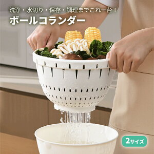 yő1000~OFFN[|Lz{E U Zbg R_[ {R ϔM ӂt dqWΉ H@Ή   vX`bN Lb` ֗ Z