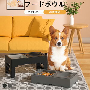 yP20{Abv_tfCzt[h{E ybgp Hh~  ܂肽ݎ  L p H X^ht aM  ې􂢉 a