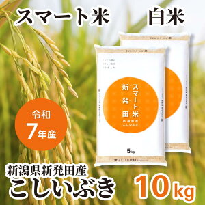 X}[g   VVcY Ԃ 5kg c_so ߘa7NY