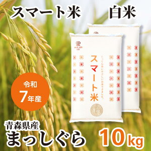 X[p[SALE10%OFFN[|zz   X}[g XΎY ܂ 10kg (5kg×2) c_so ߘa7NY