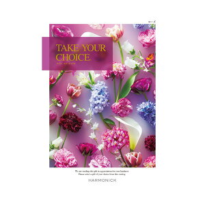 �y���������z�e�C�N�E���A�E�`���C�X �J�^���O�M�t�g ���[�Y