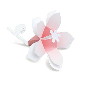 花言葉 ブーケ Hana-kotoba Bouquet (pearl pink) 10枚入
