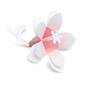 �Ԍ��t �u�[�P Hana-kotoba Bouquet (pearl pink) 10����