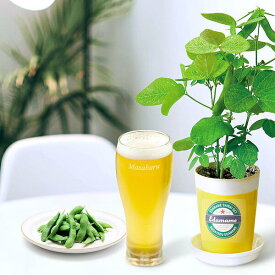 楽天市場 栽培キット 枝豆の通販