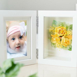 yzOvUʐ^ vU[uht[ tHgt[ CG[ S fGȃ{bNX^CṽtHgt[