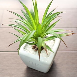 yzCTG}O[ AKx a j LO Mtg v[g җ  n \  j  JX ސE oY j JX AE w o^C Vz ̓ ̓