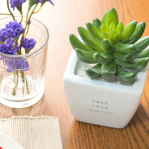 yzLCȋCƃbL[𑡂낤I CTG}O[ Z_ a j LO Mtg v[g җ  n \  j  JX ސE oY j JX AE 