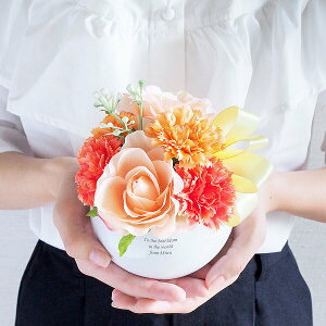 【名入れ】CT触媒グリーン カーネーション 名入れ 母の日の贈り物にキレイな空気を贈ろう! 誕生日 結婚祝い 記念日 ギフト プレゼント 還暦 刻印 創立 表彰 女性 男性 卒業 開店 退職 出産