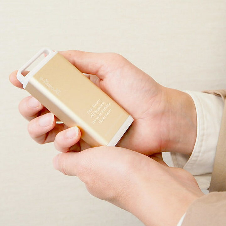 楽天市場 送料無料 名入れ メッセージが入る イーカイロ ゴールド 名入れ モバイルバッテリー スマホ充電池 敬老の日 ギフト お散歩 カイロになるバッテリー ポケモンgoのおともに スマートギフト 楽天市場店