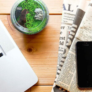 yzyzANAELbg L hV̓Mtg Lbg a j LO Mtg v[g җ  n \  j  JX ސE oY j JX AE 