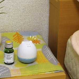 A}肱ڂ ˂ aroma okiagari koboshi DLDDMtg DECOLE fR