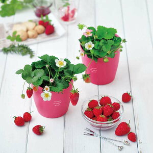 yzn[g|bg͔|Lbg Xgx[ a j LO Mtg v[g җ  n \  j  JX ސE oY j JX AE w o^C Vz 