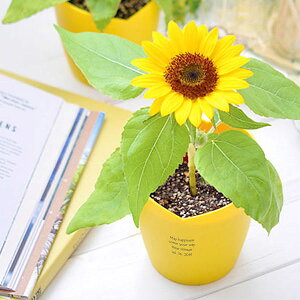 yzn[g|bg͔|Lbg ~jq} a j LO Mtg v[g җ  n \  j  JX ސE oY j JX AE w o^C Vz 