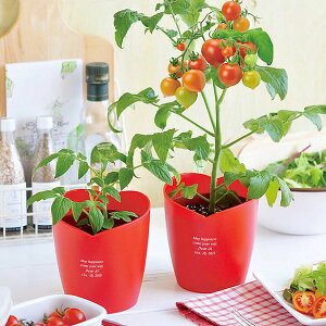 yzn[g|bg͔|Lbg ~jg}g a j LO Mtg v[g җ  n \  j  JX ސE oY j JX AE w o^C Vz 