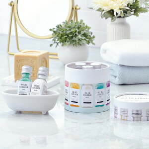 SEL DE COULEUR ZfEN[ TN v`ґȓ܂zCgf[̂ԂA̓