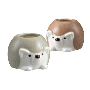 Harry's pot n[Y|bg nnk} yA ͂˂