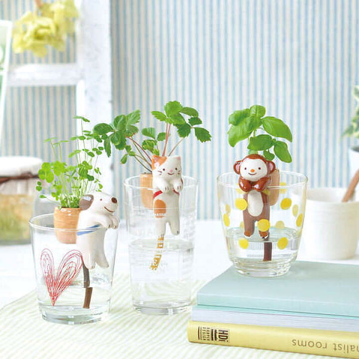 楽天市場 よっこいしょ 背中のかごで育てる植物 しっぽん イヌ クローバー スマートギフト 楽天市場店
