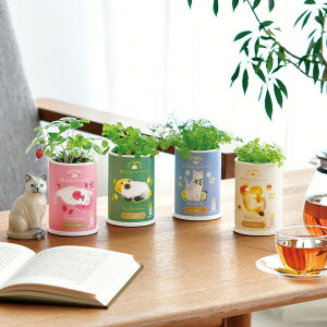 Grow Flavor Ăt[o[ n[u Zbg