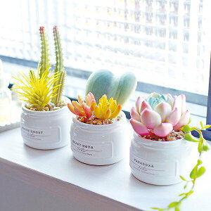 CTG} pXe3Zbg GNA A[eBtBVO[ pXe L