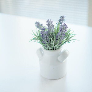 CTG} x_[ LA[eBtBVt[ h R ϗtA