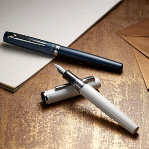 PLATINUM v`iNM vVI |[ZzCg