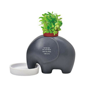 yzGvg O[ Abv~g a j LO Mtg v[g җ  n \  j  JX ސE oY j JX AE w o^C Vz 