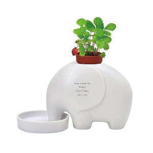 yzGvg zCg ChXgx[ a j LO Mtg v[g җ  n \  j  JX ސE oY j JX AE w o^C 