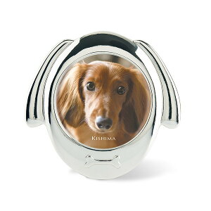 �y�b�g�t���[�� Coco �R�R �V���o�[�h�b�O �������̂��鎿���Ɉ��炵���f�U�C�� �y�b�g�̎茳���{�ɂ�