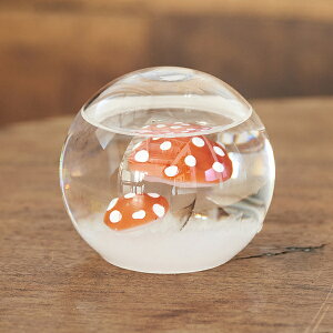 Fun Science Xg[OX h[ ̂