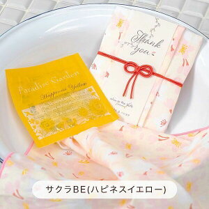 ӂ͂ nJ`ouoX TNN[ x nslXCG[