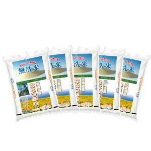 yzyVāz  kCYȂȂڂ 2kg×5 v10kg