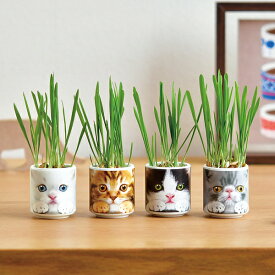 おちょこで猫草 栽培セット 白＆黒＆茶＆グレー