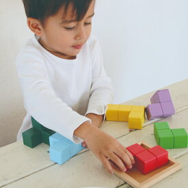 知の贈り物シリーズ 賢人パズル 孫育 木のおもちゃ 保育園 幼稚園