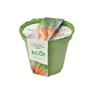 GRbg M ɂ񂶂 ؂Ă͔|Zbg