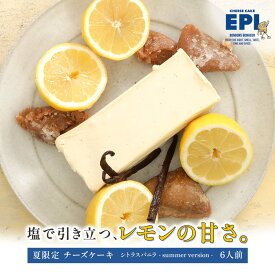 ＼季節限定／濃厚 チーズケーキ 夏ギフト スイーツ プレゼント 塩レモン × バニラ × マスカルポーネ フローズン グルテンフリー 小麦粉不使用 白砂糖不使用 お取り寄せ スイーツ 洋菓子 お菓子 贈り物 お土産 帰省 お返し 送料無料