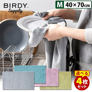 Iׂ4Zbg BIRDY. Supply Lb`^I MTCY o[fB[ TvC y|Cg10{/zyp1203z