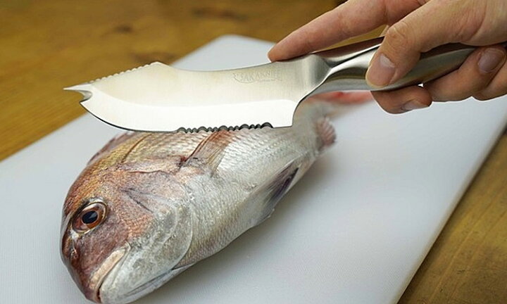 楽天市場】SAKAKNIFE サカナイフ for kitchen 貝印製 【送料無料  